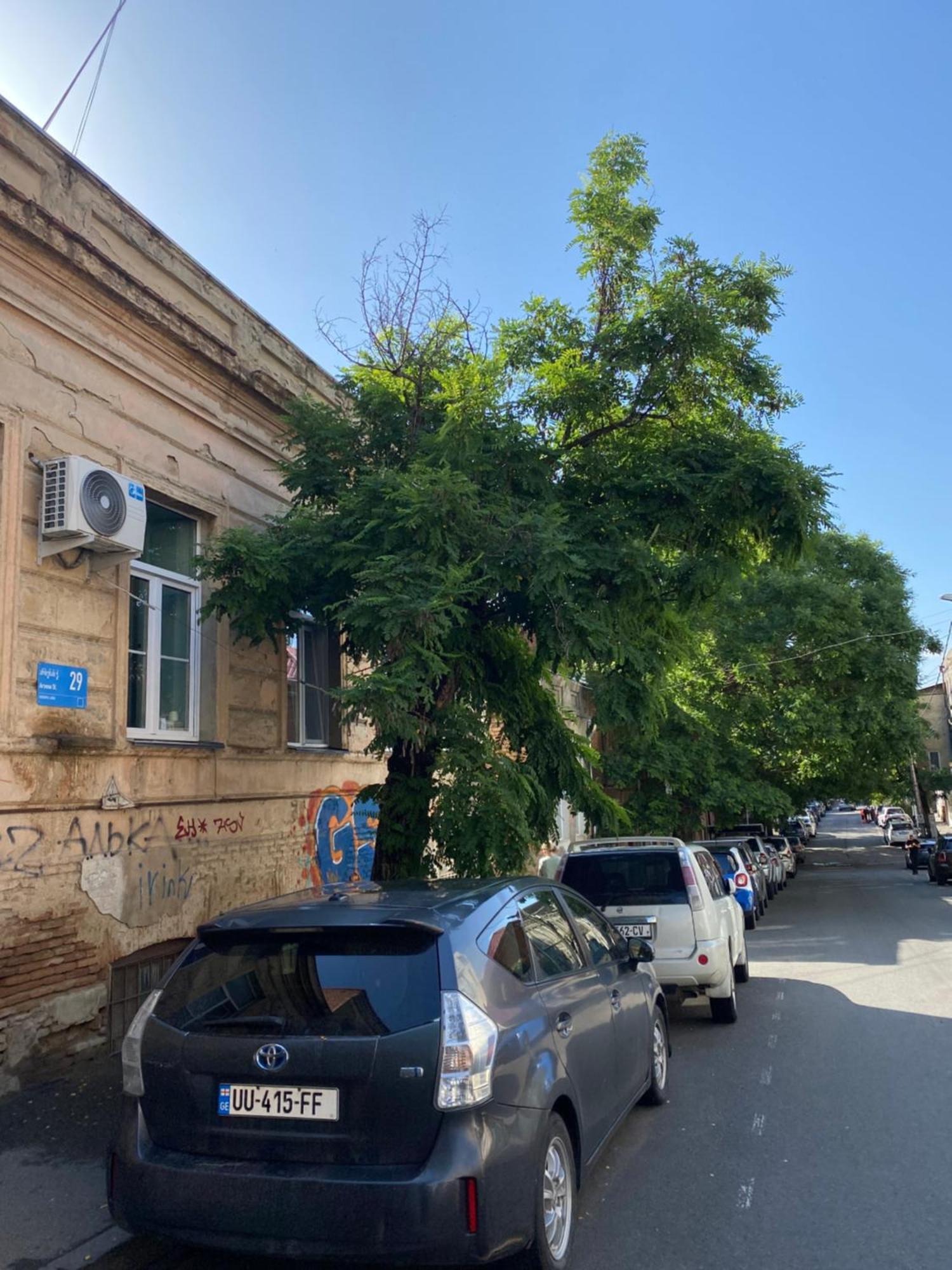 Old Tbilisi City Center, Two - Room Apartment Eksteriør bilde